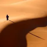 Mivel a denevérek repülnek sötétben echolocation - mi ez