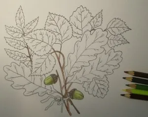 Hogyan kell felhívni a levél, felhívni a ceruza szakaszosan, babám
