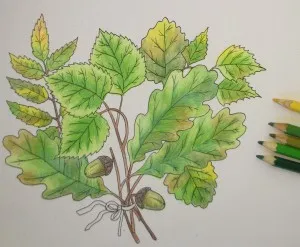 Hogyan kell felhívni a levél, felhívni a ceruza szakaszosan, babám