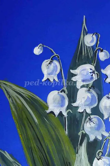 Hogyan kell felhívni a gyöngyvirág gouache szakaszaiban