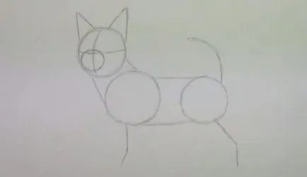 Hogyan kell felhívni a Chihuahua ceruza szakaszaiban