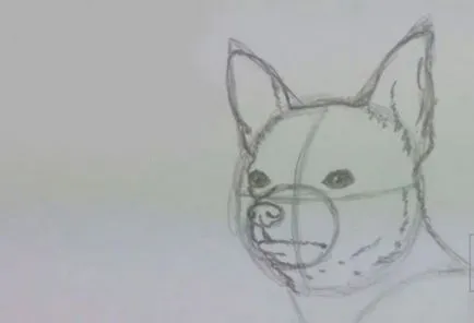 Hogyan kell felhívni a Chihuahua ceruza szakaszaiban
