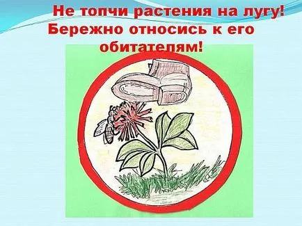 Hogyan kell felhívni a posztert a témában - gondoskodik a növények! (Mi felhívni) Hogyan kell felhívni a posztert a témában - gondoskodik a növények!