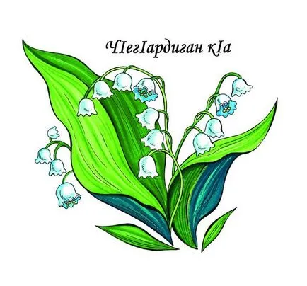 Hogyan kell felhívni a gyöngyvirág, gyöngyvirág csokor szakaszaiban