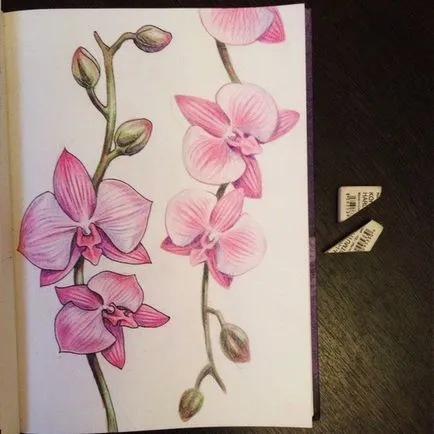 Hogyan kell felhívni orchidea