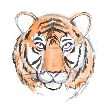 Hogyan kell felhívni a tigris, rajz Photoshop