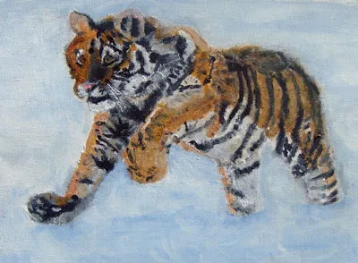 Hogyan kell felhívni a tigris túrák, tigris rajz ceruzával (Ceruza) Hogyan kell felhívni a tigris szakaszosan, ceruzarajz tigris