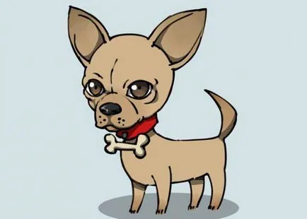 Hogyan kell felhívni a Chihuahua kutya - Tippek művész