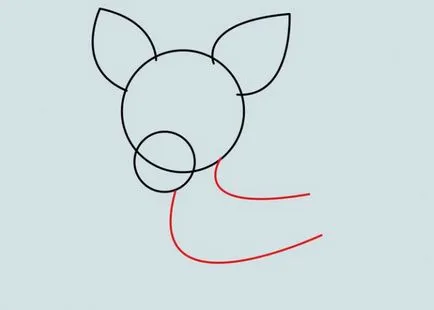 Hogyan kell felhívni a Chihuahua kutya - Tippek művész