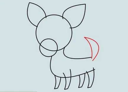 Hogyan kell felhívni a Chihuahua kutya - Tippek művész
