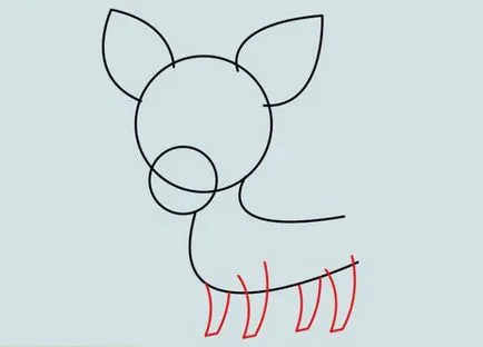 Hogyan kell felhívni a Chihuahua kutya - Tippek művész