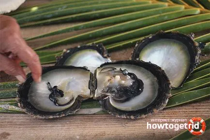 Mint gyöngy képződik a shell