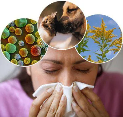 Hogyan lehet megkülönböztetni az allergia a hideg - mi a különbség (a különbség) Hogyan lehet megkülönböztetni az allergia a hideg - mi a különbség