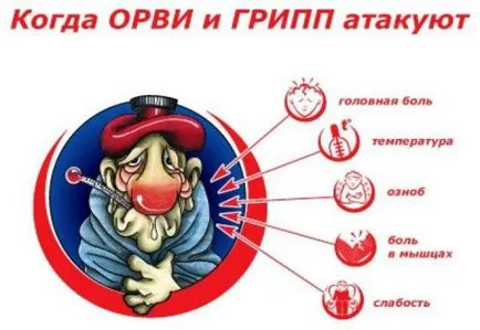 Hogyan lehet megkülönböztetni az allergia a hideg felnőttek és gyermekek, csecsemők, hogyan kell meghatározni a (gyerek) Hogyan lehet megkülönböztetni az allergia a hideg felnőttek és gyermekek, csecsemők, hogyan lehet azonosítani