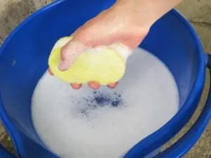 Hogyan mossa linóleum felújított tisztítószerek, mint a mosás a padló, fotók és videó (mos linóleum felújított mossa fel a padlót) Hogyan mossa linóleum felújított tisztítószerek, mint a mosás a padló, fotók és videó