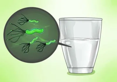 Mivel A Helicobacter pylori emberről venni