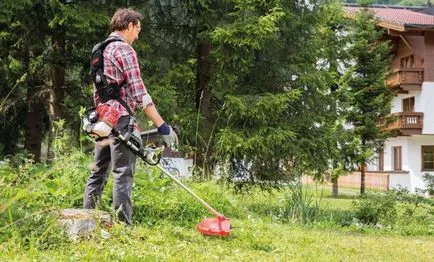 Melyik elektromos szegélynyíró a legjobb tippeket és tanácsokat kiválasztásában