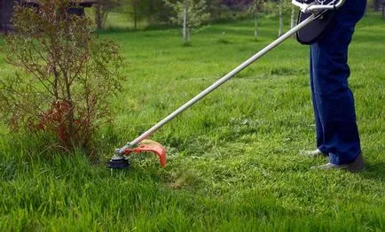 Melyik elektromos szegélynyíró a legjobb tippeket és tanácsokat kiválasztásában