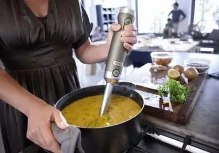 Mi a jobb, hogy válasszon egy turmixgépben - merítéssel vagy helyhez