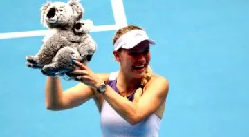 wta-reakció