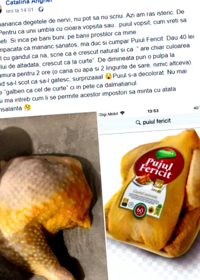 среќниот пиле
