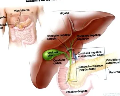 papilloma kezelés
