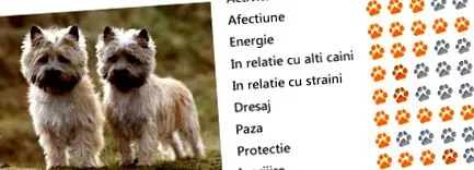 cairn