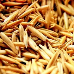 Hogyan tisztítsa meg a májat a méreganyagok a home (máj) Hogyan tisztítsa meg a májat a méreganyagok a hazai