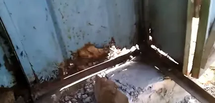 Hogyan gyorsítható a garázsban segítségével egy jack - eljárások (lift fém garázs) Hogyan gyorsítható a garázsban segítségével egy jack - eljárás