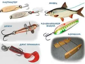 Hogyan lehet elkapni a domolykó - Titkok a sikeres horgászat (Snap-on asp) Hogyan lehet elkapni a domolykó - Titkok a sikeres horgászat