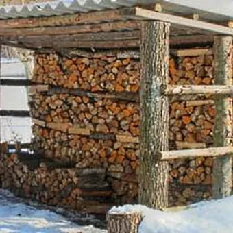 Hogyan építsünk egy woodshed a ház