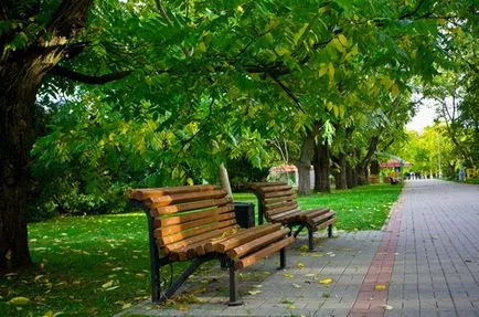 Hogyan építsünk a tökéletes park