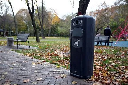 Hogyan építsünk a tökéletes park
