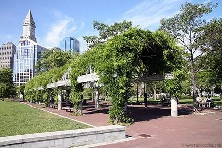 Hogyan építsünk a tökéletes park