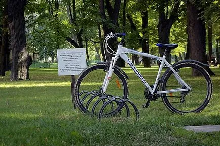 Hogyan építsünk a tökéletes park