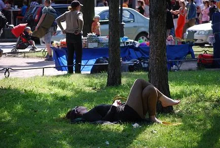 Hogyan építsünk a tökéletes park