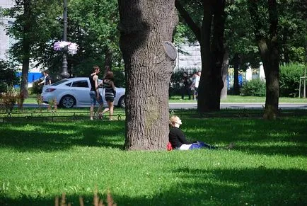 Hogyan építsünk a tökéletes park