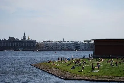 Hogyan építsünk a tökéletes park