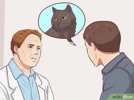 Hogyan lehet elkapni egy kóbor macska