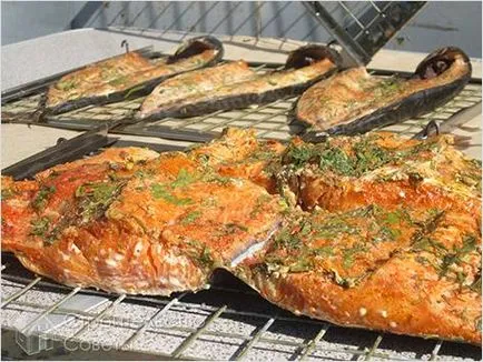 Hogyan építsünk egy smokehouse - hogyan lehet otthon