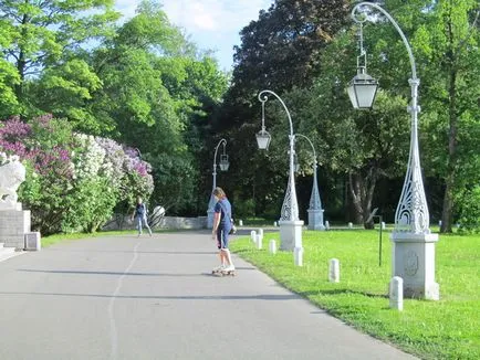 Hogyan építsünk a tökéletes park