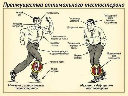 Hogyan lehet növelni a libidó férfiak áttekintést a legnépszerűbb módszerek és készítmények