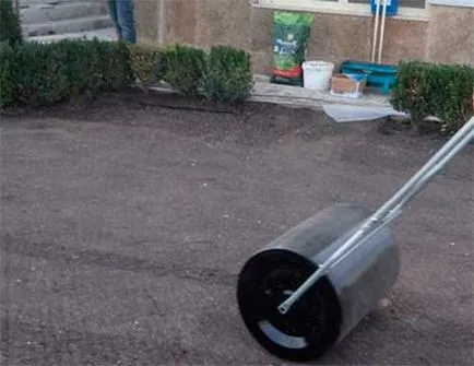 Hogyan ültessünk egy füves saját kezével lépésről lépésre (gyep) Hogyan ültessünk egy füves saját kezével lépésről lépésre