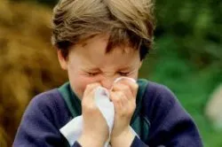 Hogyan juthat influenzaszerű - Orvosi portál Penza (influenza) Hogyan juthat influenzaszerű - Orvosi portál Penza