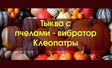 Hogyan kell kezelni a méhek