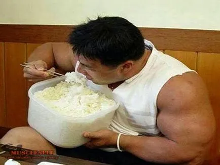 Hogyan kell használni a fehérje, musclesfit