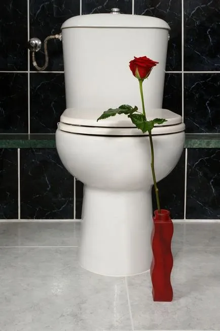 Hogyan kell telepíteni a WC a házban saját kezűleg (home) Hogyan kell telepíteni a WC a házban saját kezűleg
