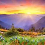 What a wonderful world