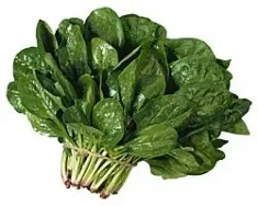 Mint folsav 1