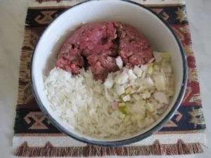 Főzni dolma otthon lépésről lépésre recept fotók